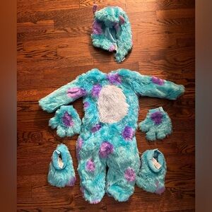 Pottery Barn 2T Sully Halloween Costume